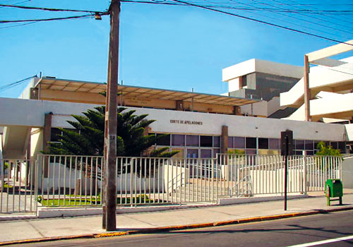 Abogada de migración interpone acción de amparo ante Corte de Apelaciones de Arica